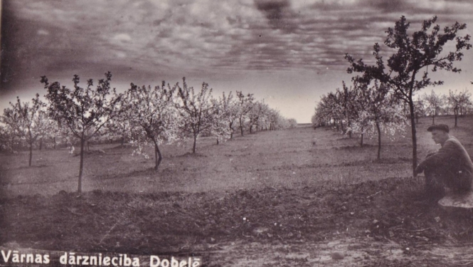 Dārzniecība