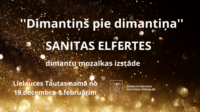 Sanitas Elfertes izstāde