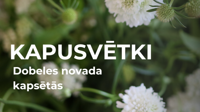 kapusvetki