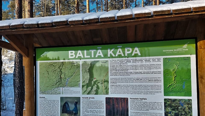 baltā kāpa