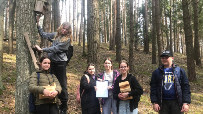 putnu būru veidošana