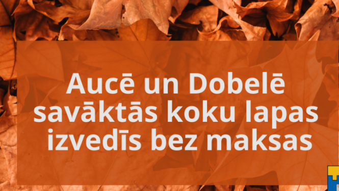 lapas-dobele-auce.png