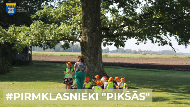 piksas