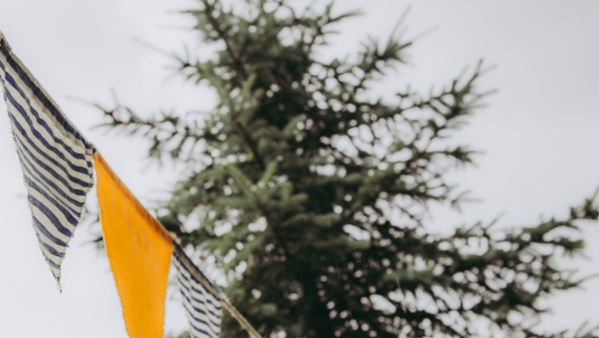 Mājas kafejnīcu dienas Dobeles novadā