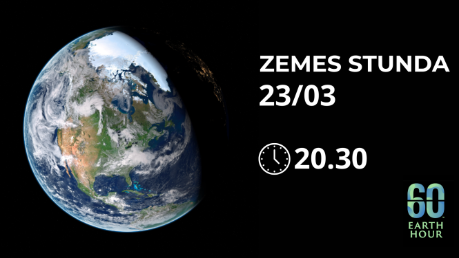 Zemes stunda
