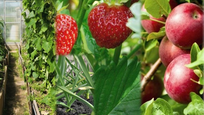 LLKC Dobeles konsultāciju birojs aicina pieteikties uz semināriem