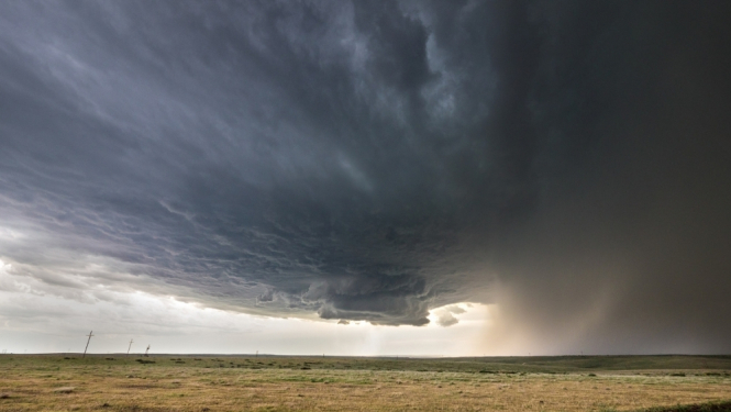 VID atbalsts vētrā cietušajiem