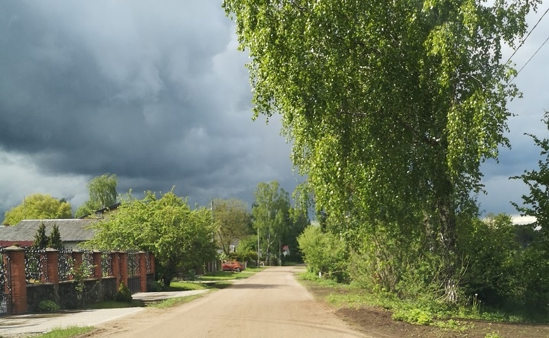 Dobele plaukst un attīstās