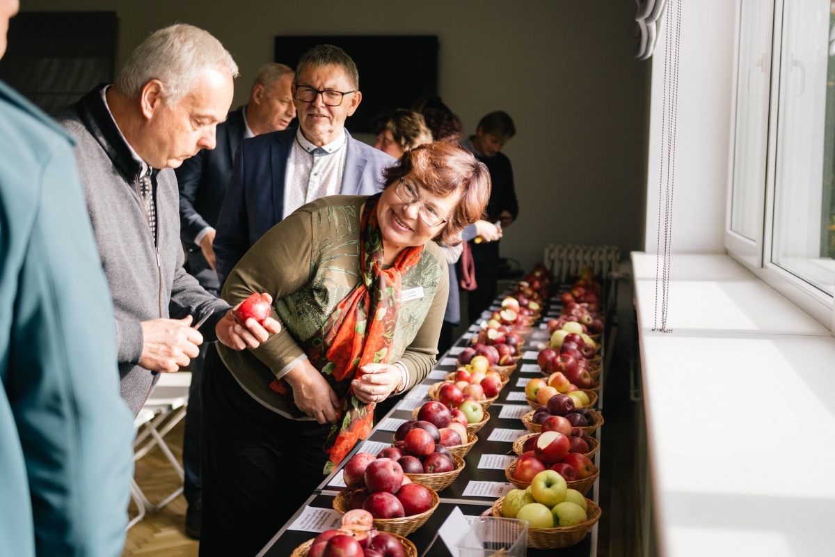 05.10.2019. Ābolu svētki Dobelē. Foto: Renāte Rapša