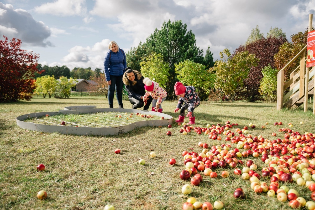 05.10.2019. Ābolu svētki Dobelē. Foto: Renāte Rapša