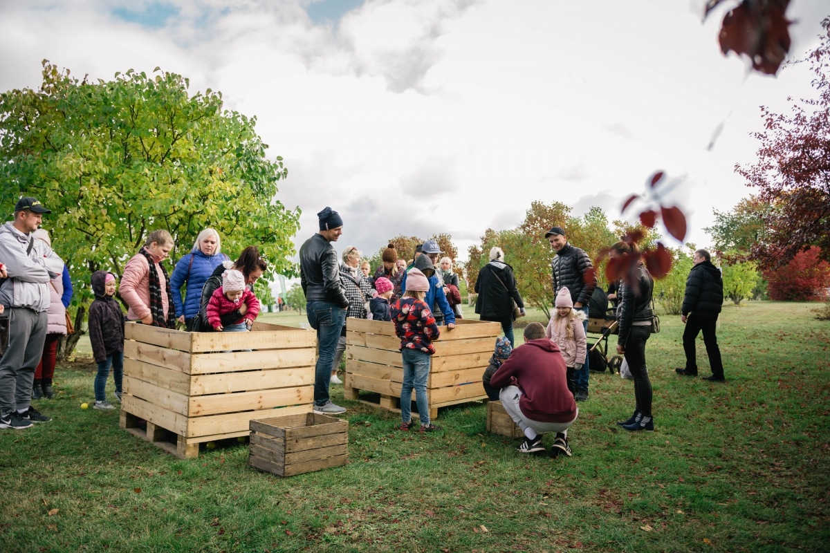 05.10.2019. Ābolu svētki Dobelē. Foto: Renāte Rapša