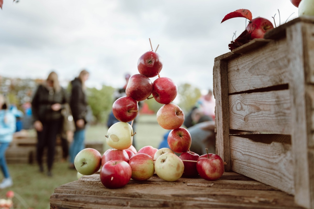 05.10.2019. Ābolu svētki Dobelē. Foto: Renāte Rapša