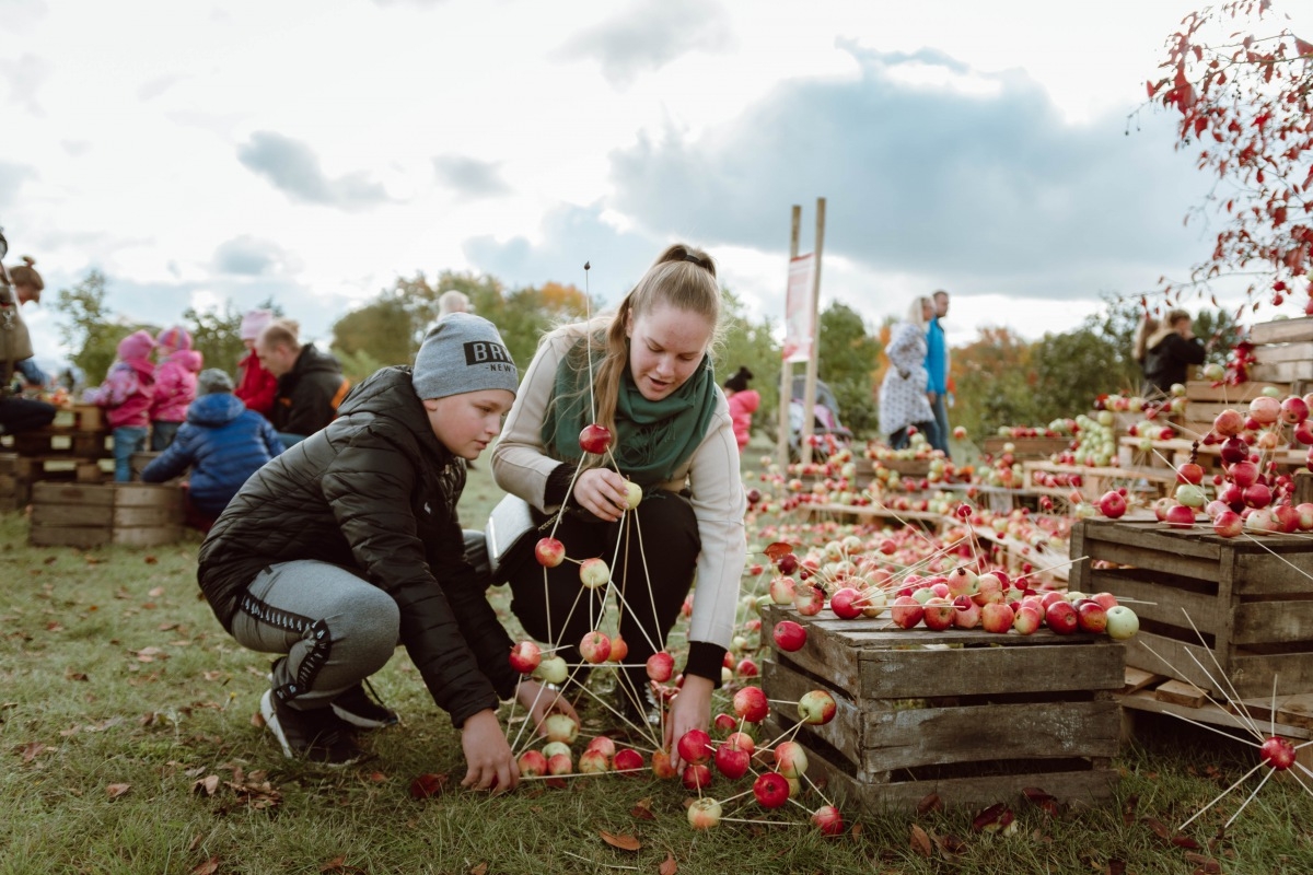 05.10.2019. Ābolu svētki Dobelē. Foto: Renāte Rapša