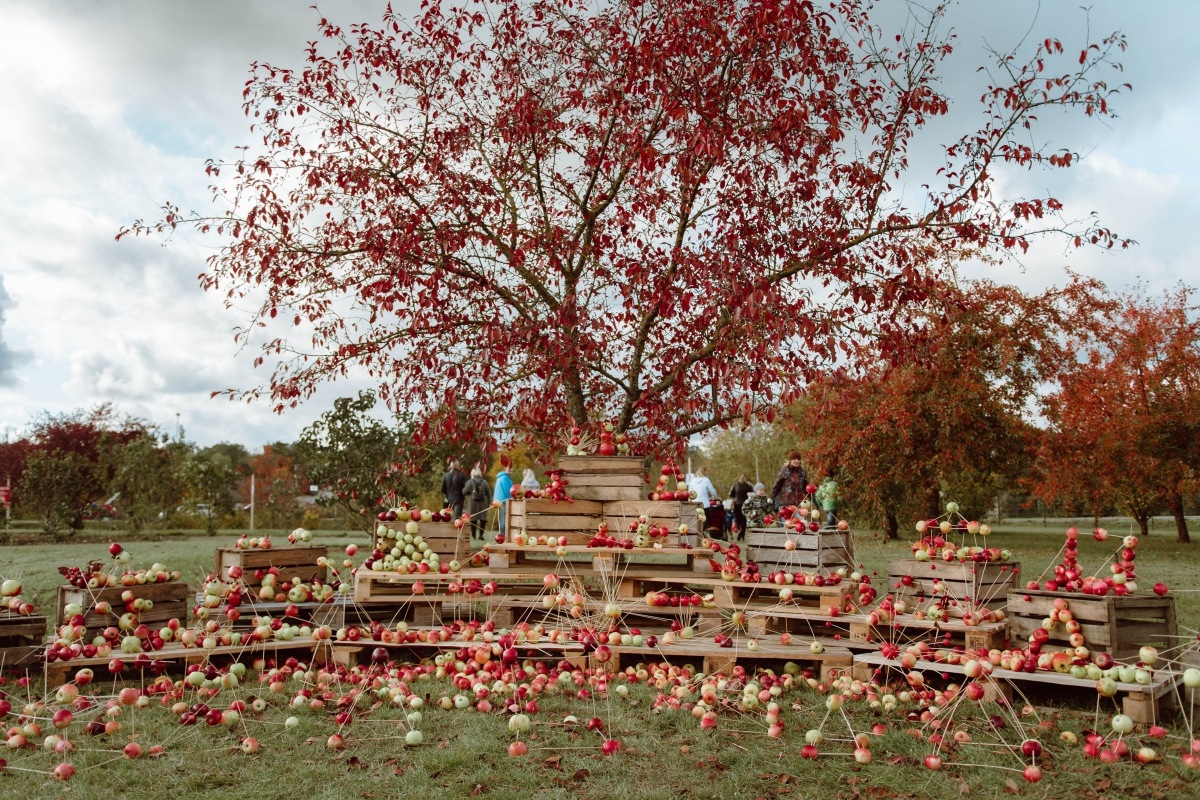 05.10.2019. Ābolu svētki Dobelē. Foto: Renāte Rapša