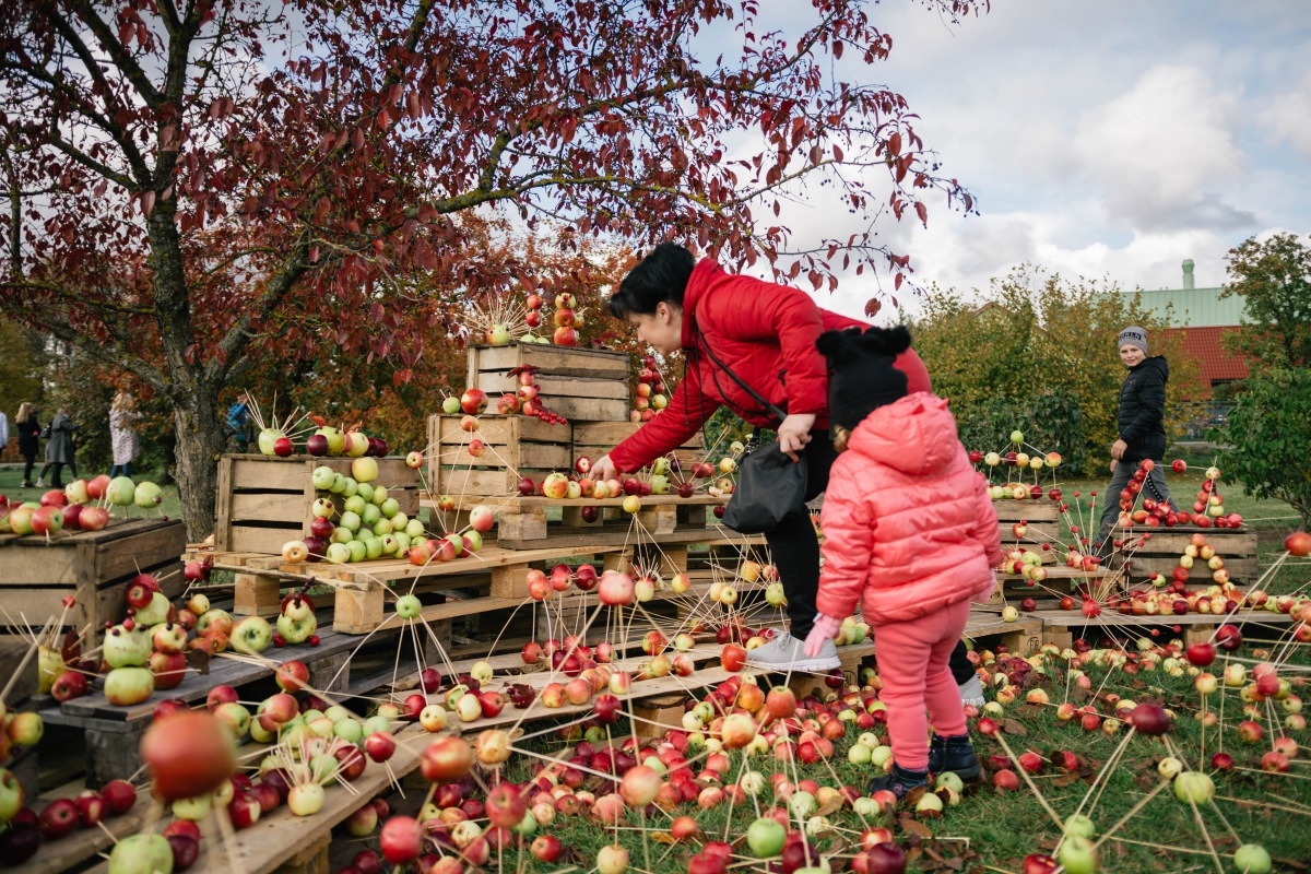 05.10.2019. Ābolu svētki Dobelē. Foto: Renāte Rapša