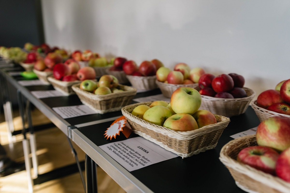 05.10.2019. Ābolu svētki Dobelē. Foto: Renāte Rapša