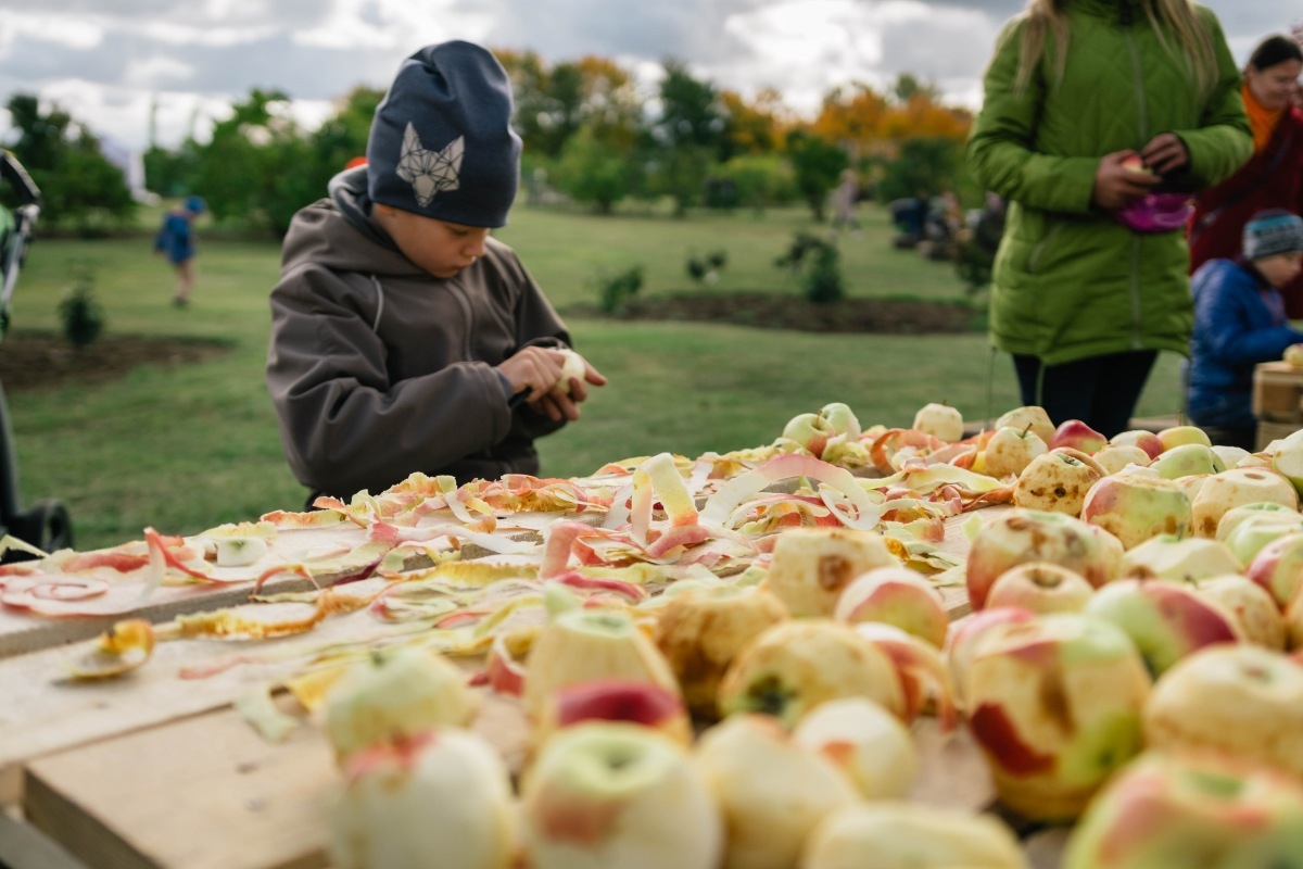 05.10.2019. Ābolu svētki Dobelē. Foto: Renāte Rapša