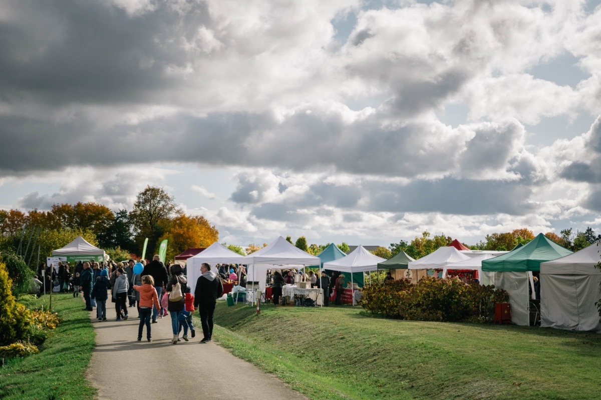 05.10.2019. Ābolu svētki Dobelē. Foto: Renāte Rapša