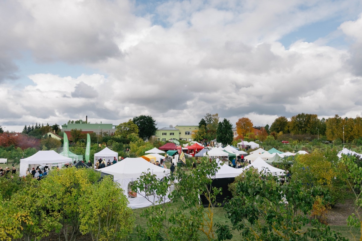 05.10.2019. Ābolu svētki Dobelē. Foto: Renāte Rapša