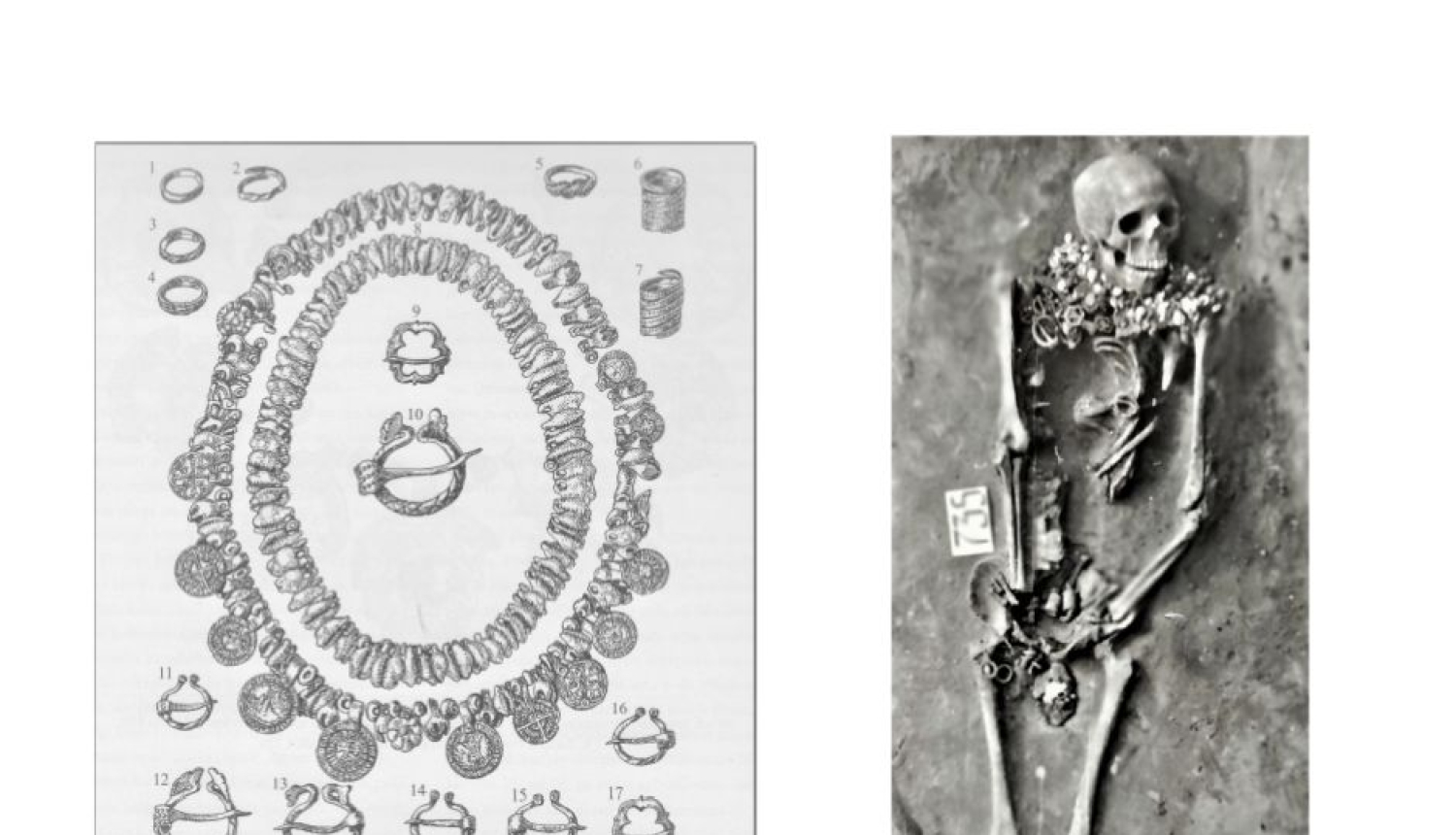 Projekts "Gunitas Zariņas monogrāfijas" 