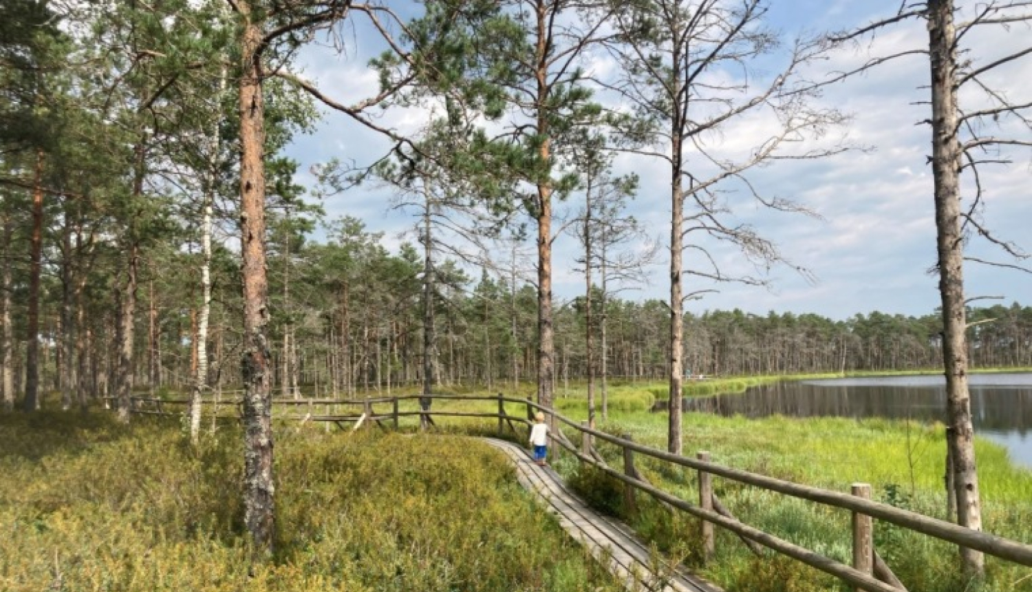 dabas takas Zemgalē