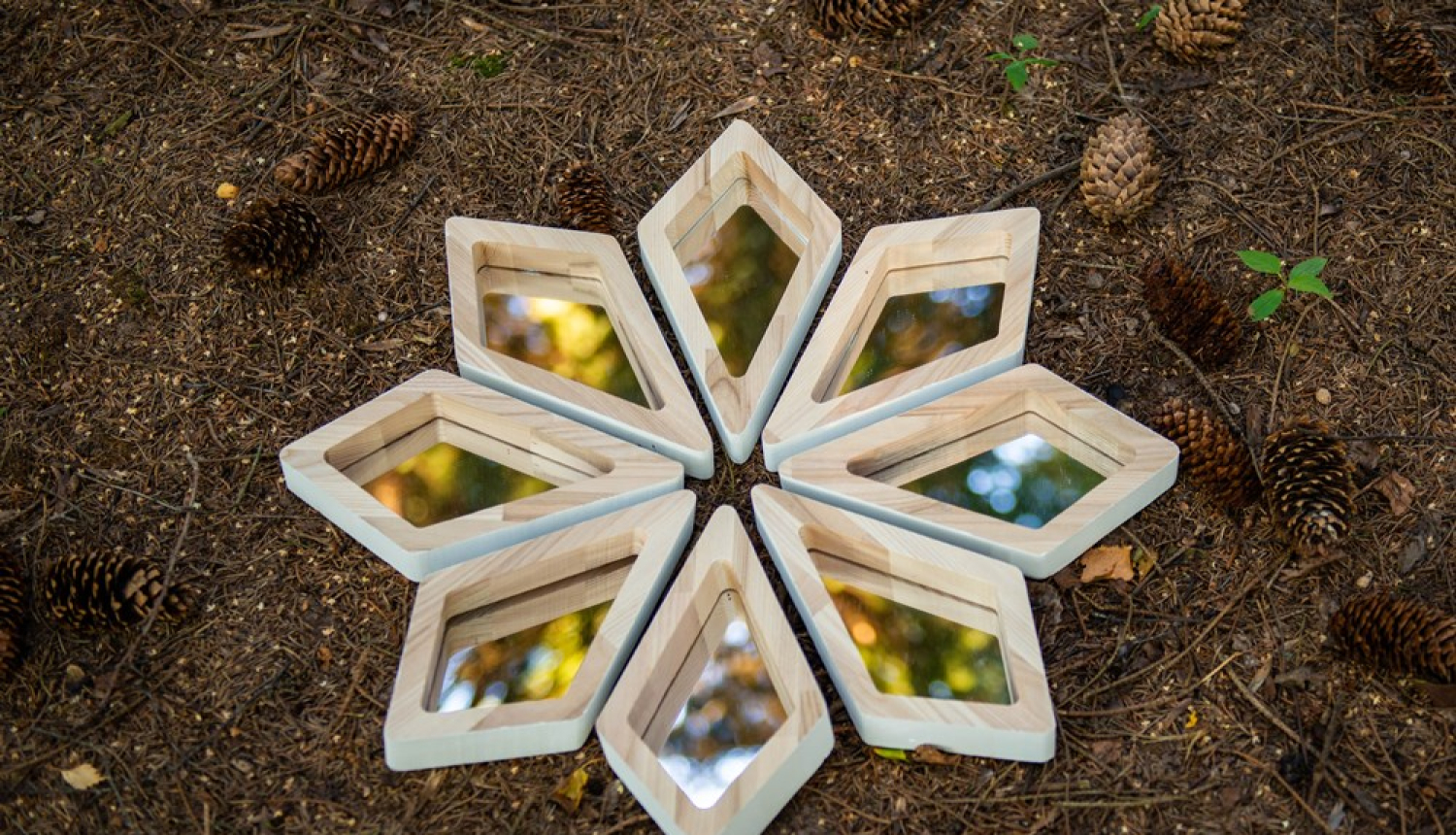 Grantu konkursa 2024 rezultāti