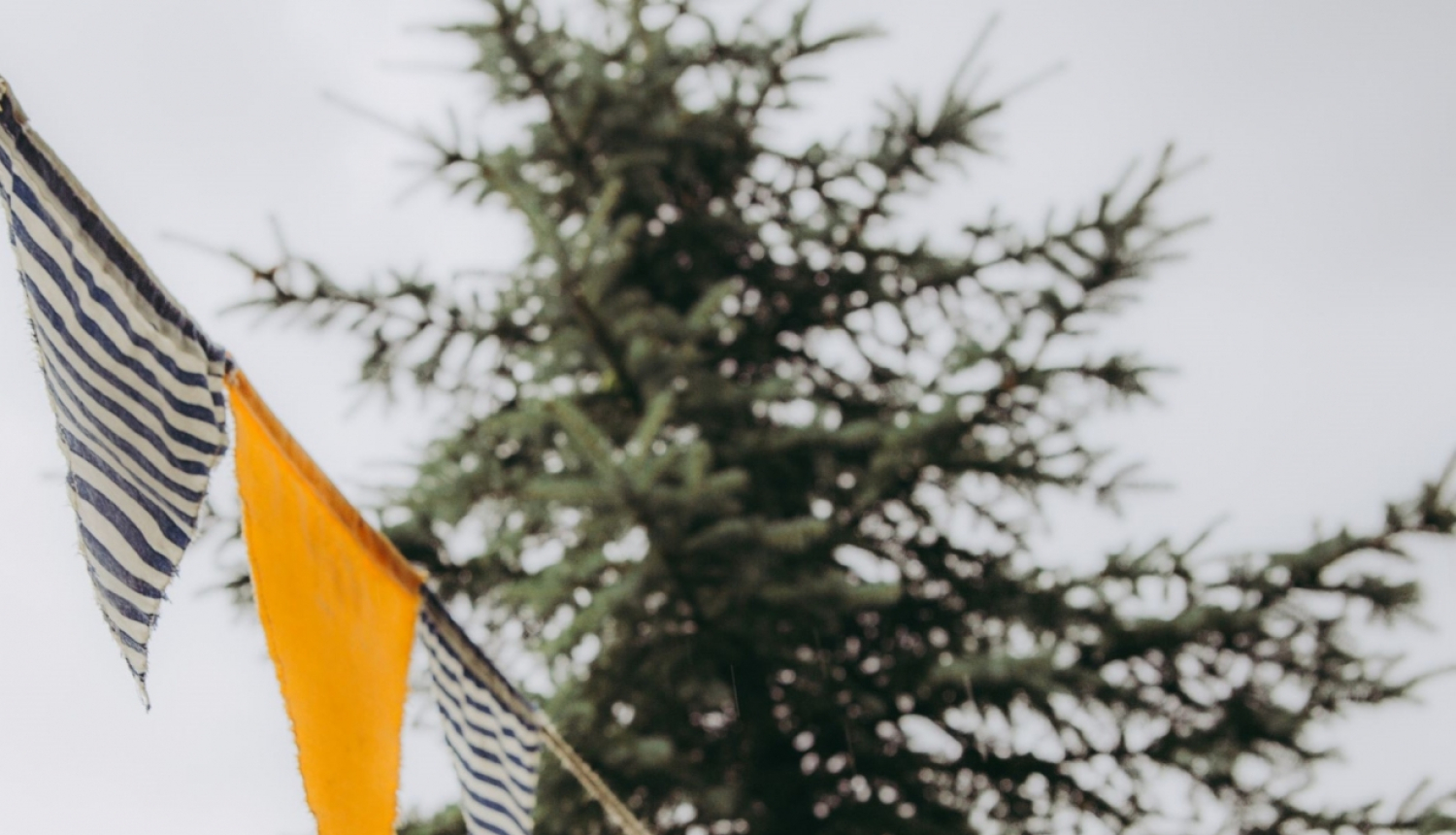 Mājas kafejnīcu dienas Dobeles novadā