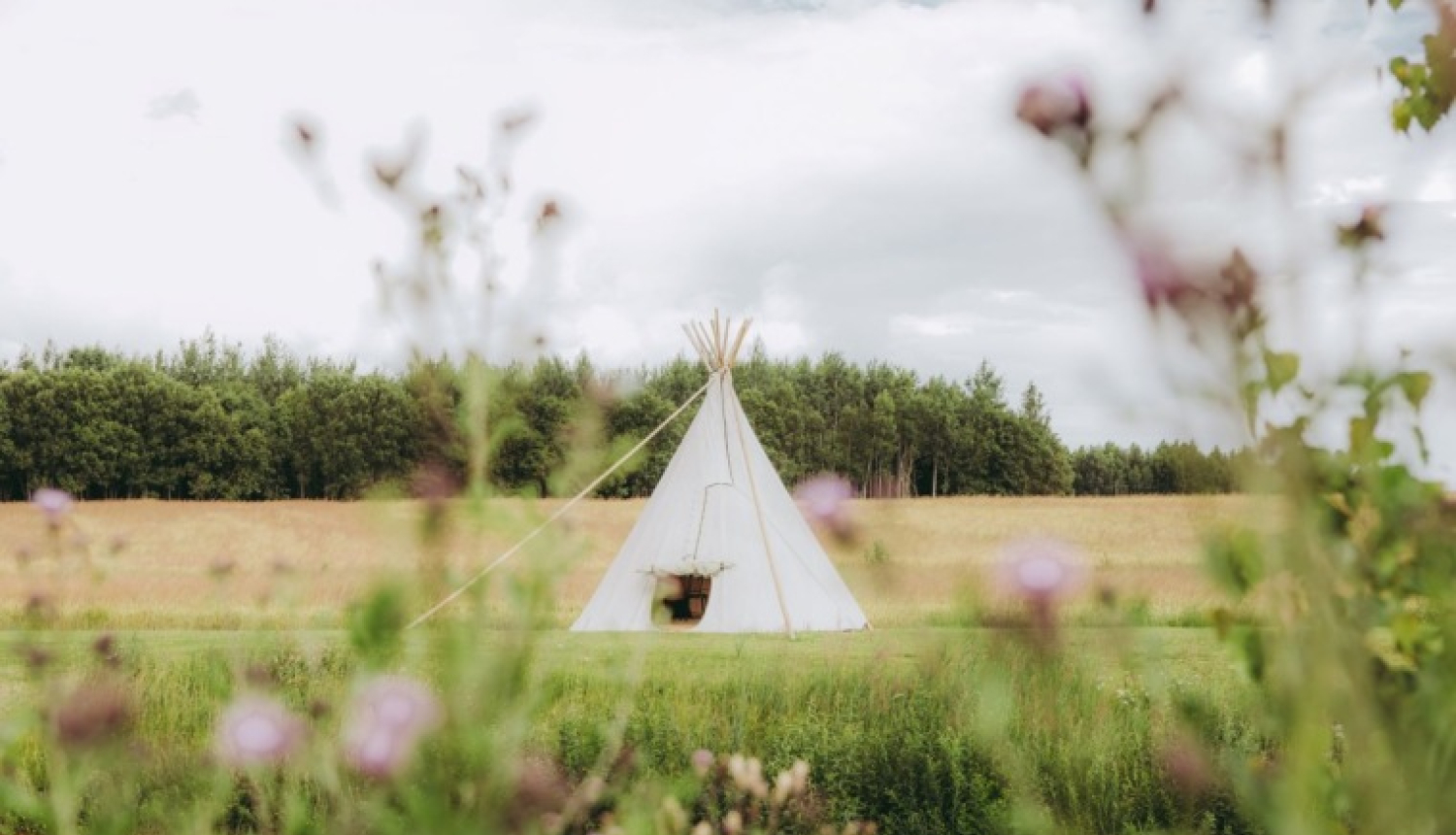 nomadic_homes_glempings_tipi_village_dobeles_novads1.jpg
