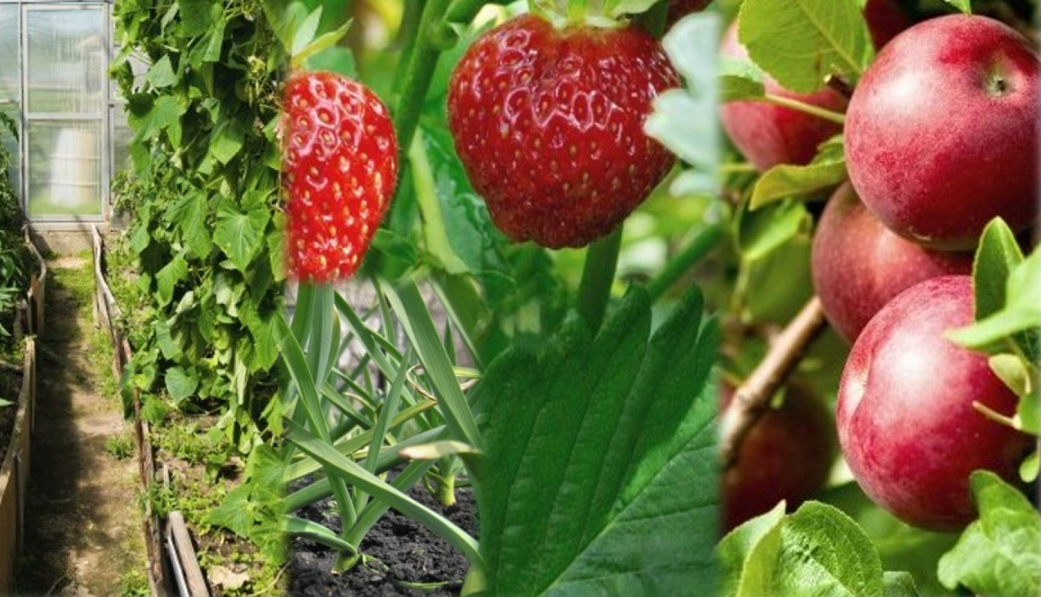 LLKC Dobeles konsultāciju birojs aicina pieteikties uz semināriem