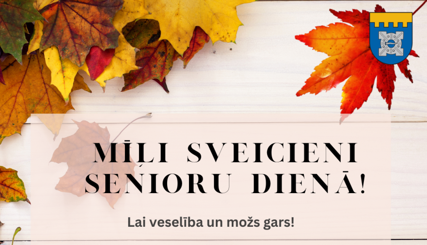 senioru diena