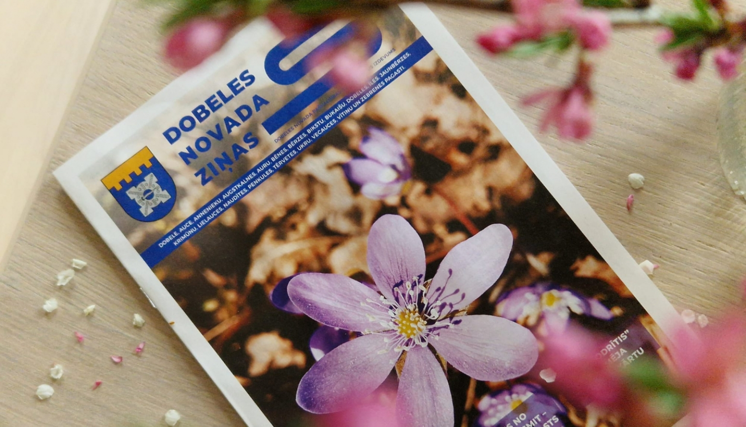 Dobeles novada ziņas