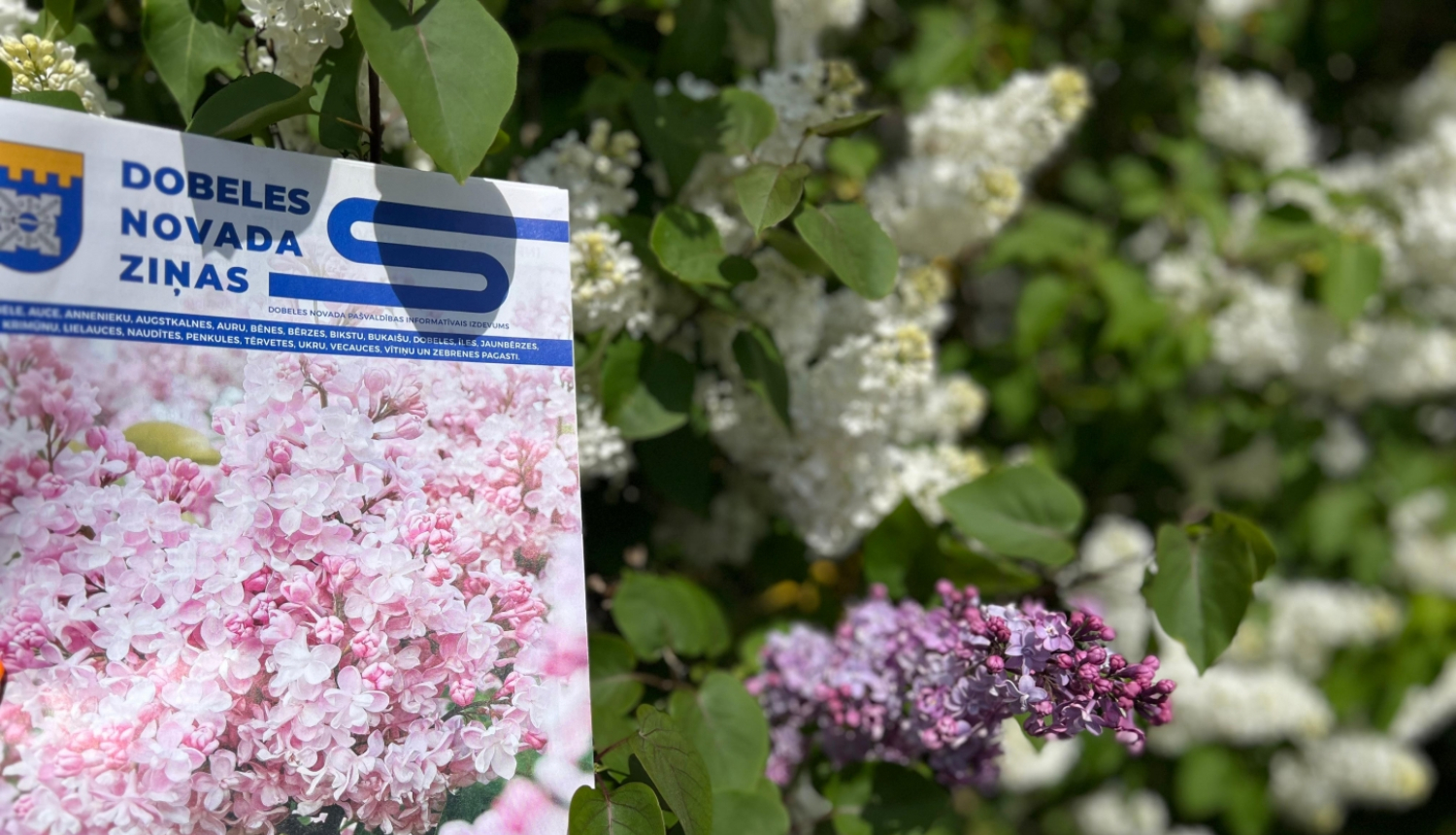 Dobeles novada ziņas