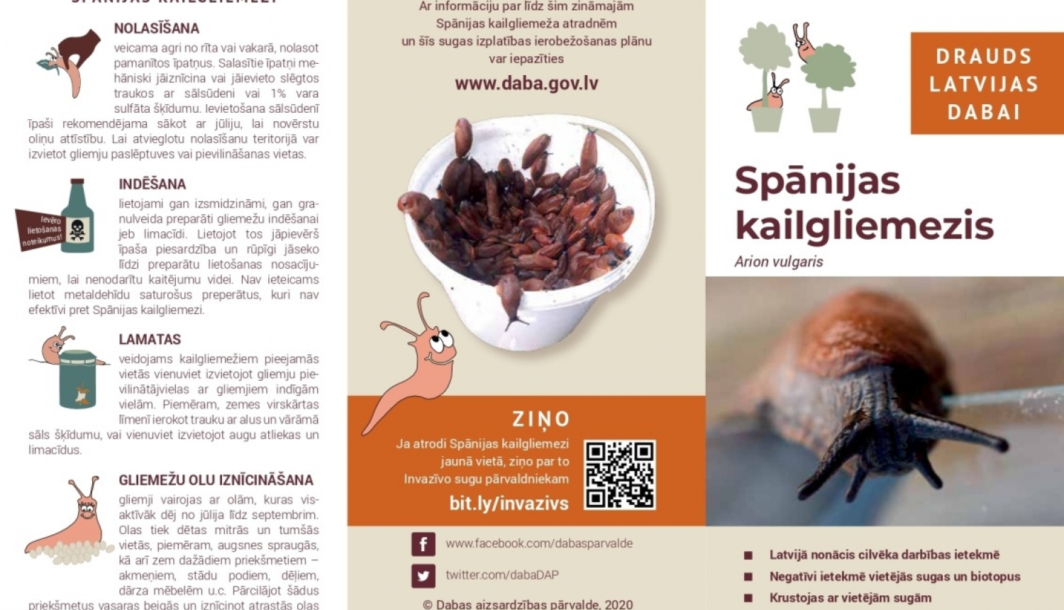 Gliemezis