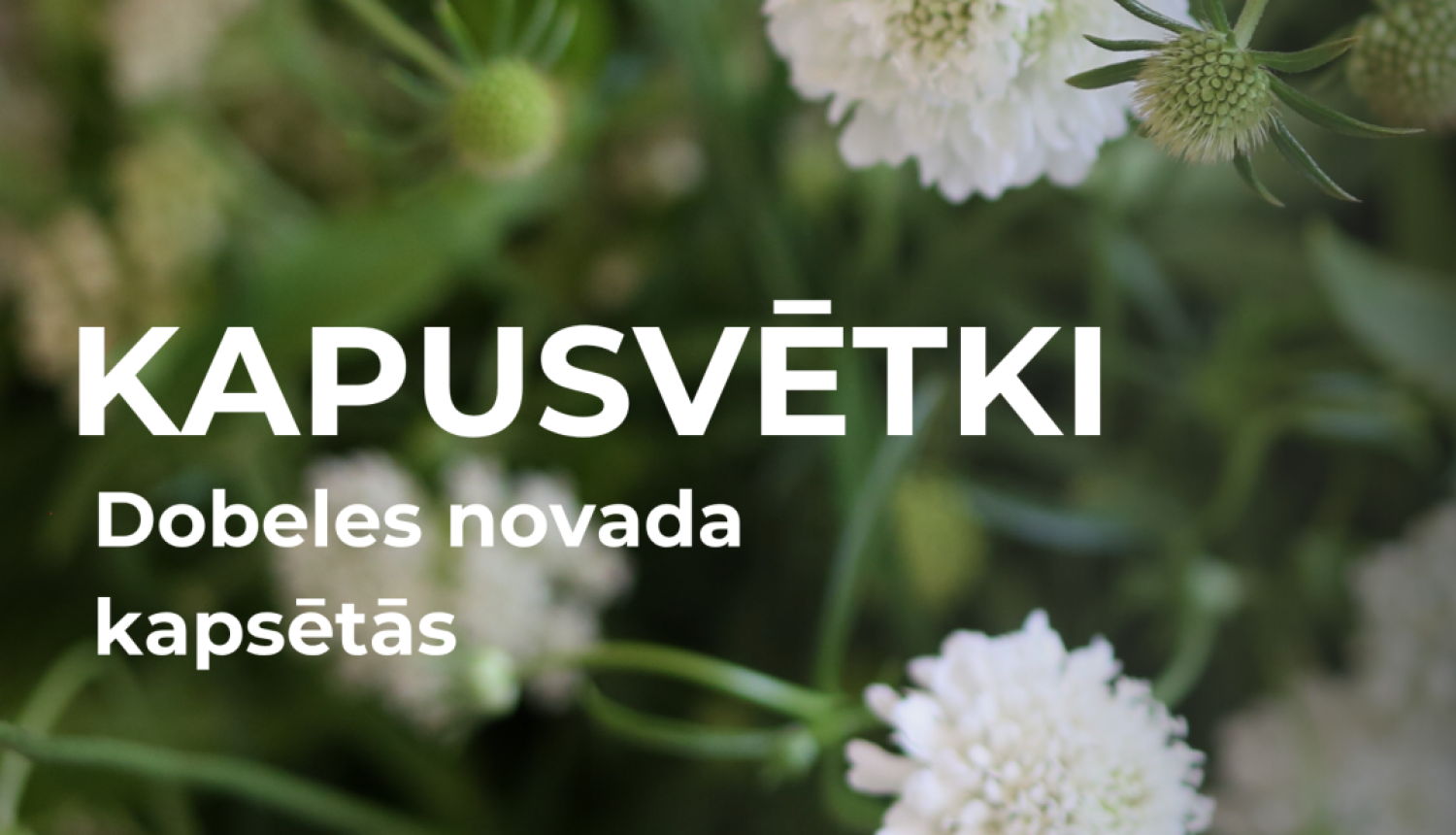 kapusvetki