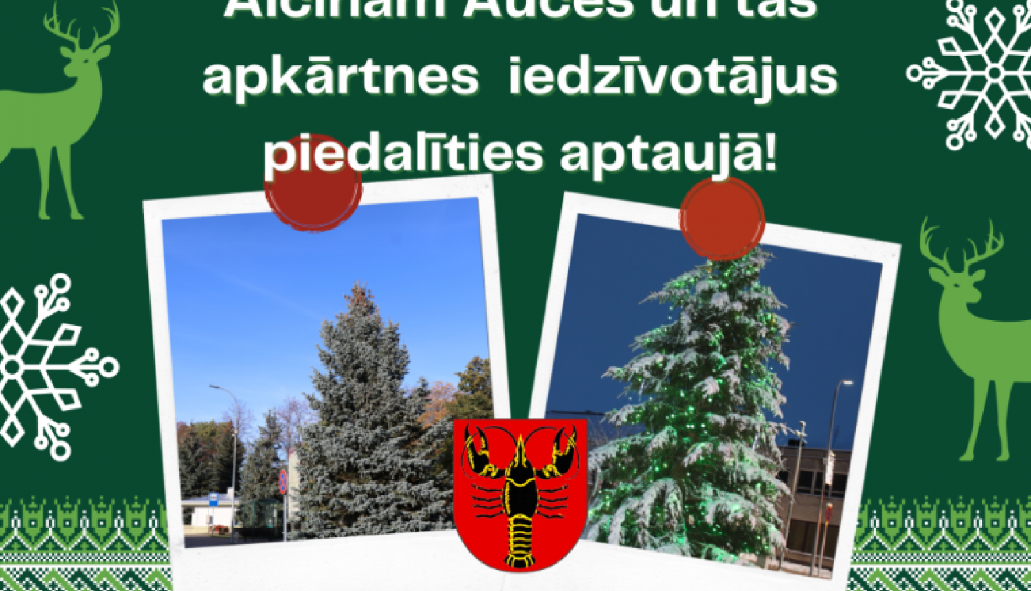egles_aptaujai_auce_2022.png
