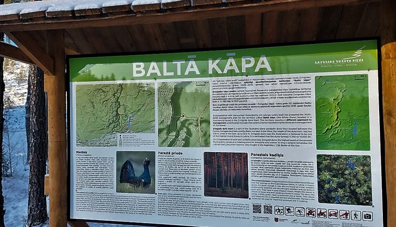 baltā kāpa