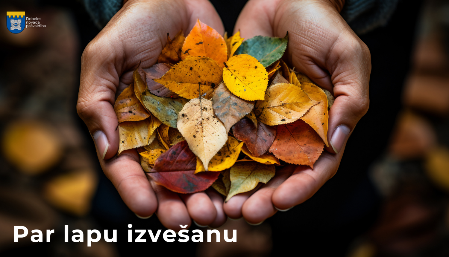 lapu izvešana dobele