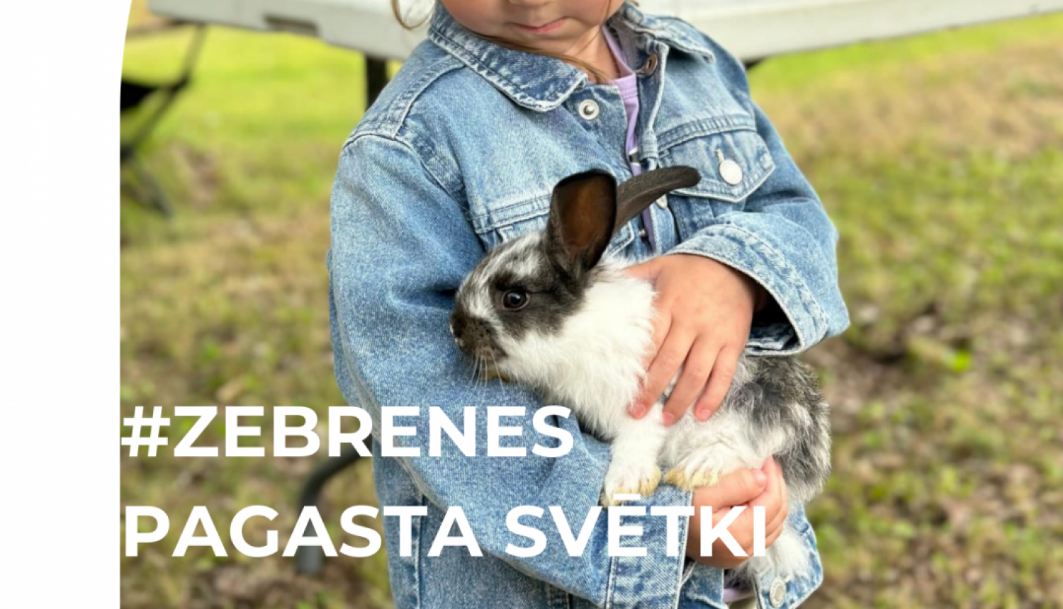 zebrene