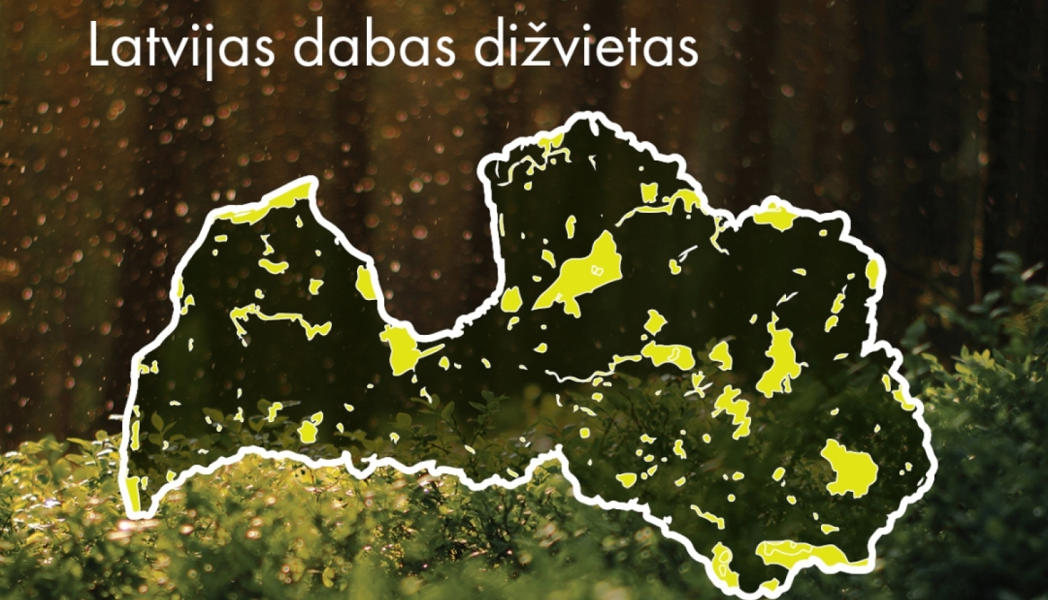 Informācija