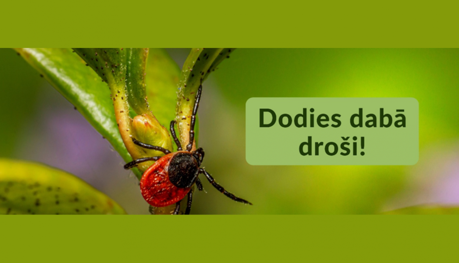 Dodies dabā droši