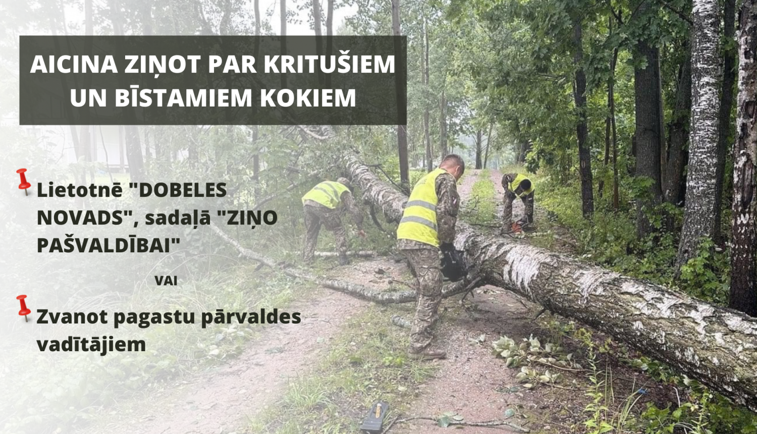 bīstami koki