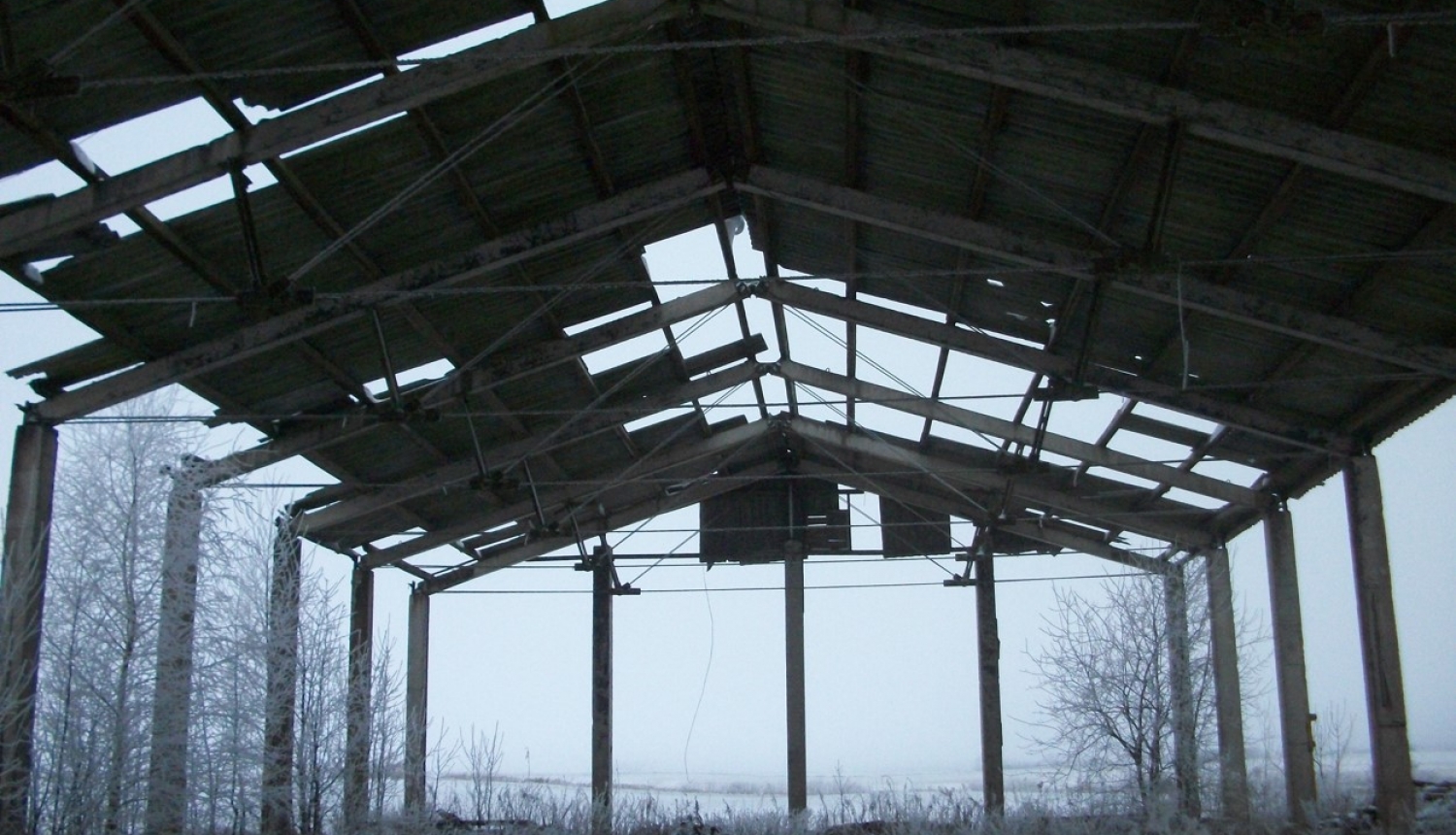 grauzsti3
