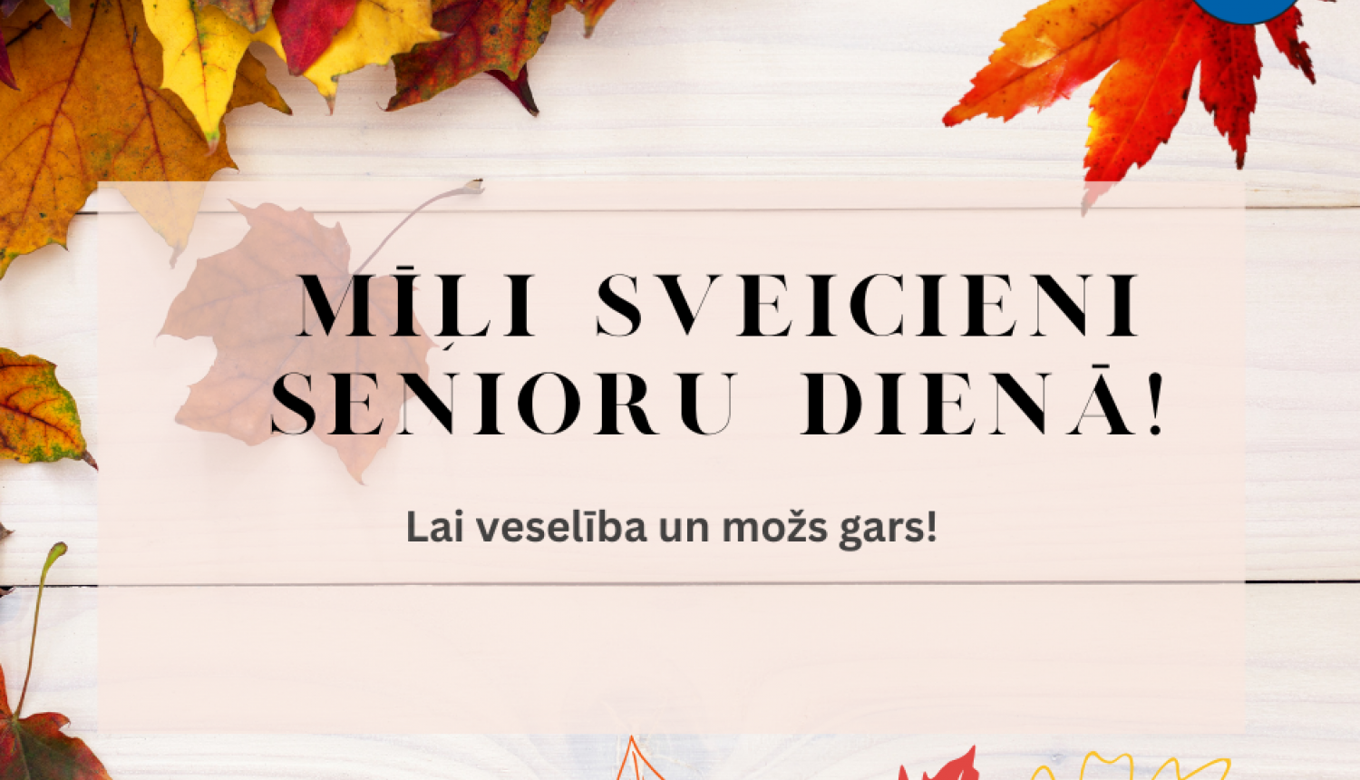 senioru diena